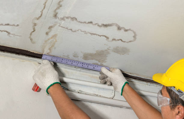 Reliable Basement Water Removal contractor in Petaluma, CA by Water Damage Irwin